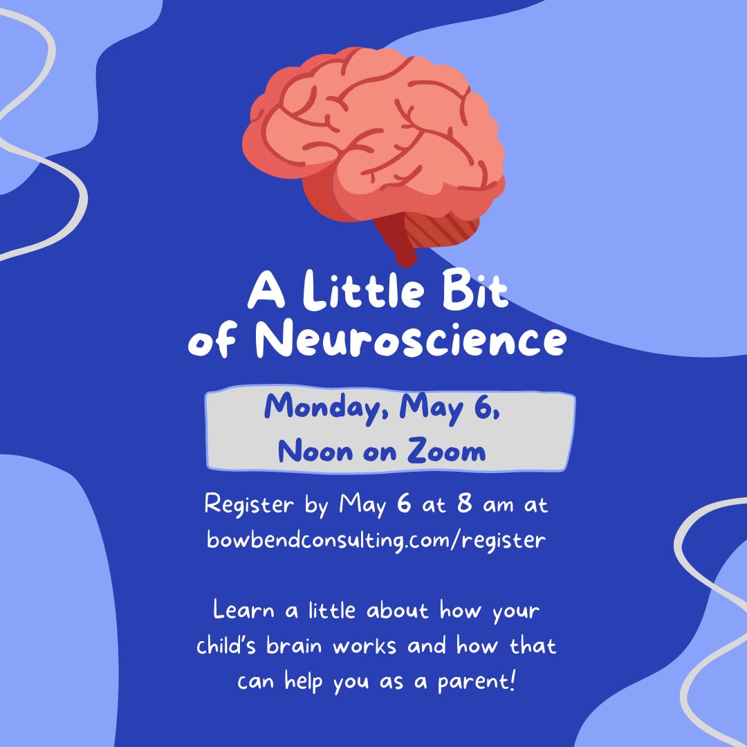 A Little Bit of Neuroscience